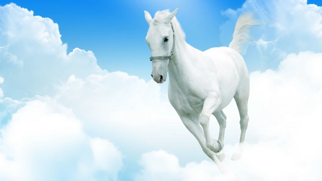 Download Wallpapers 3840x2160 White Horse, Clouds, Jumping 4K Ultra ...