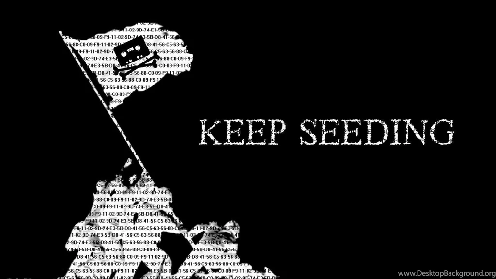 Pirates Torrent Seeds Wallpapers