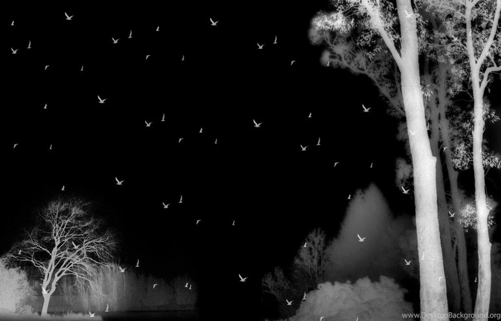 Anime Wallpapers Black And White 26 Desktop Wallpapers XDwallpaper.com