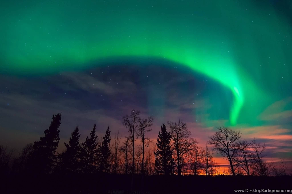 Wallpapers Night Sky The Stars The Northern Lights Sunset Trees ...