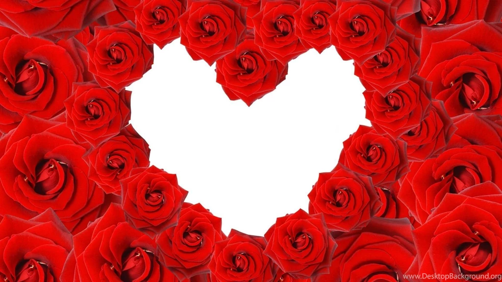 Red Roses In A Heart Shape On White Backgrounds Wallpapers And ...