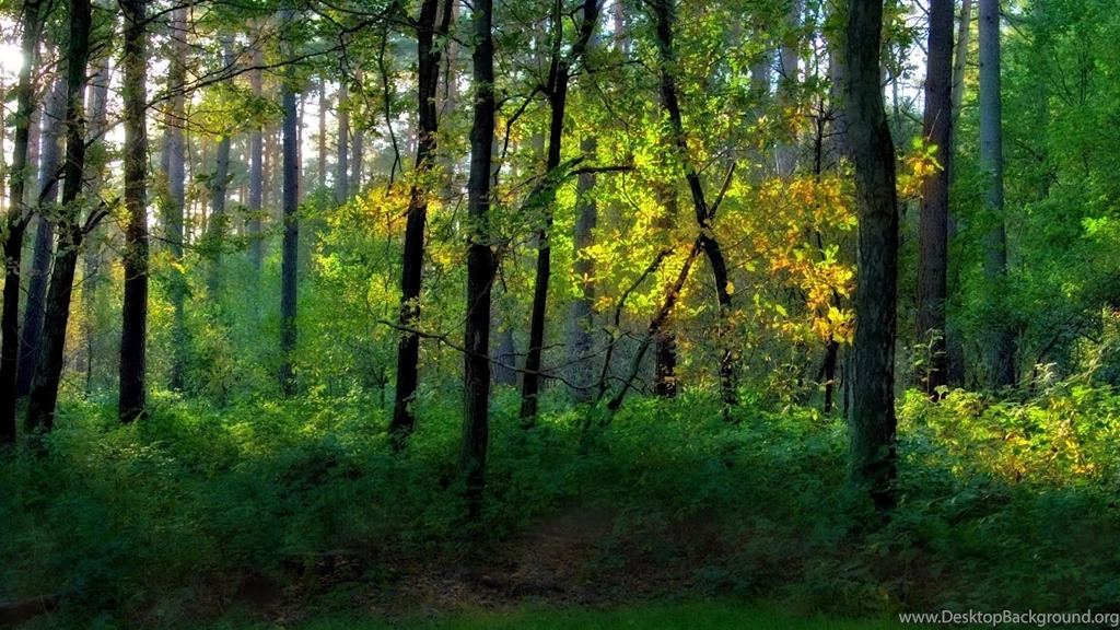 FREE PHOTOSHOP BACKGROUNDS HIGH RESOLUTION WALLPAPERS & TEMPLATES ...