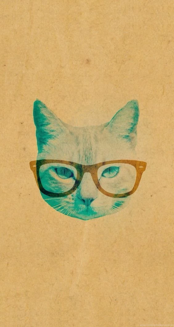 Cat Phone Wallpapers On Pinterest
