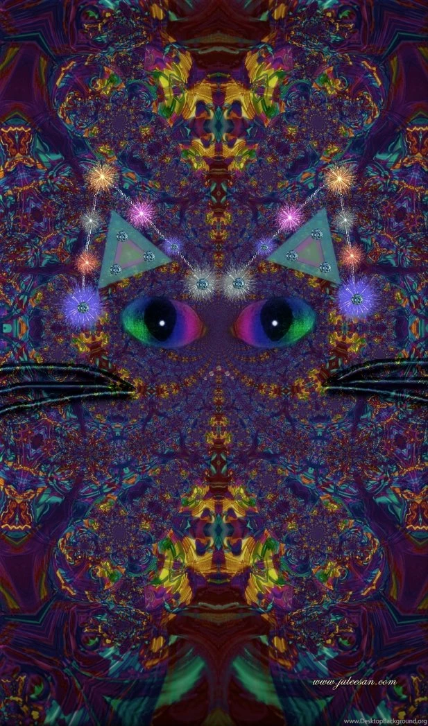 Cat Got My Sleep Smart Phone Wallpapers 2015 By JSSanDA On ...