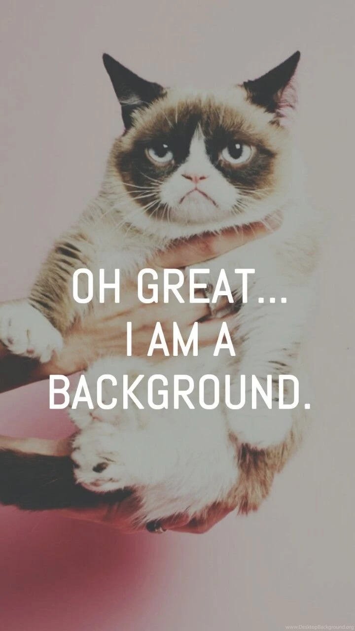 LOL Funny Wallpaper Backgrounds Funny Quotes Backgrounds Wallpapers ...