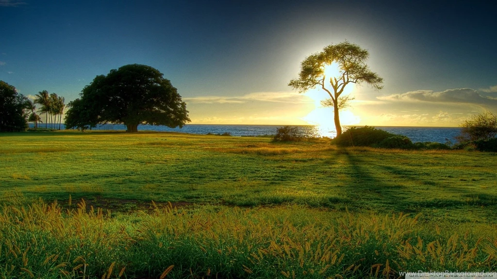 Nature Wallpapers