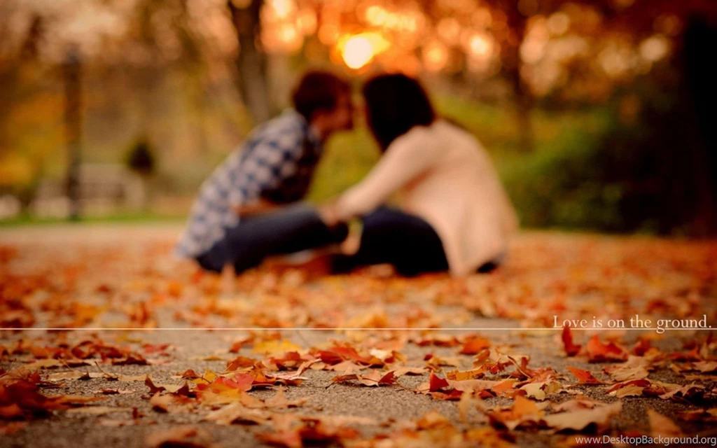 Download Fall Romance Wallpaper 4107 0x0.jpg