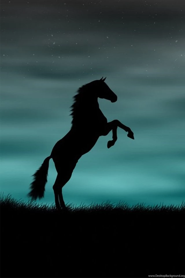 Iphone 4 wallpapers 489