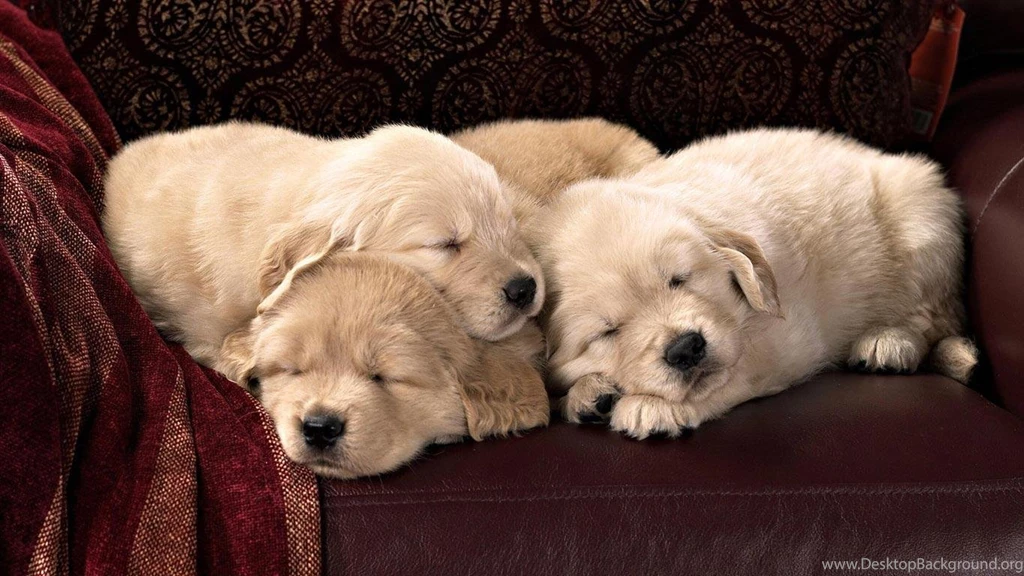 HD Backgrounds For Laptops Background Images