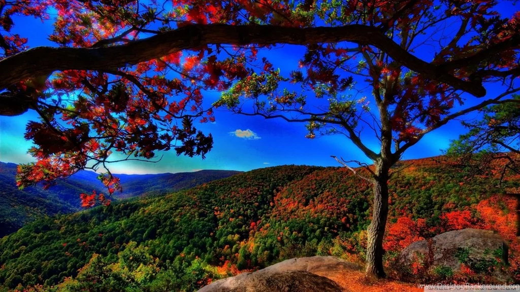 Autumn Landscape Wallpapers 737840