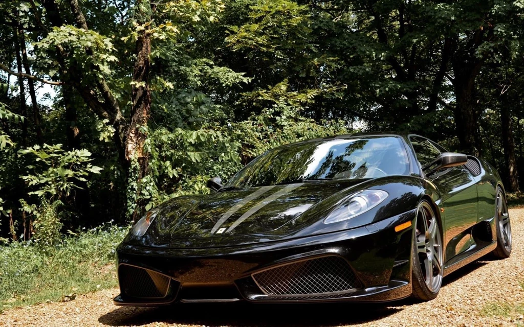 Ferrari Black In The Tree Front View ~ Cars Wallpapers HD