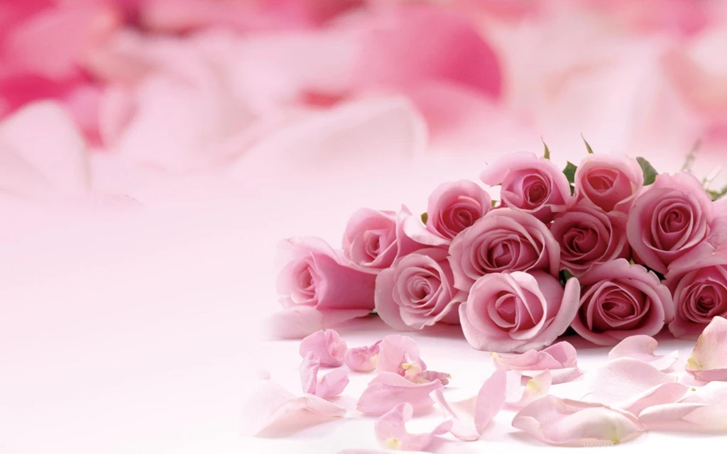Roses Desktop Wallpapers Wallpapers HD Fine
