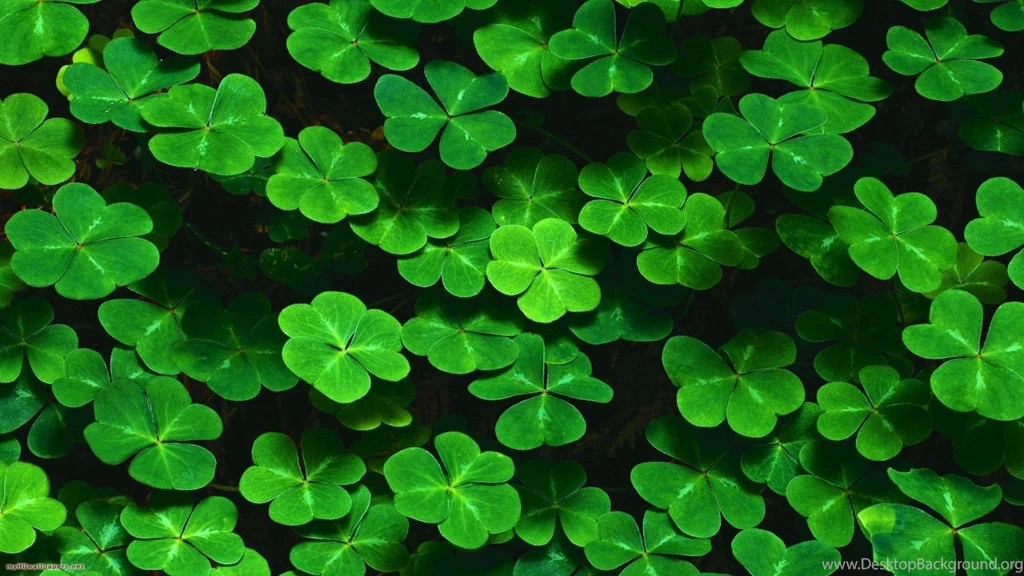 Photography HD Wallpapers Page 11