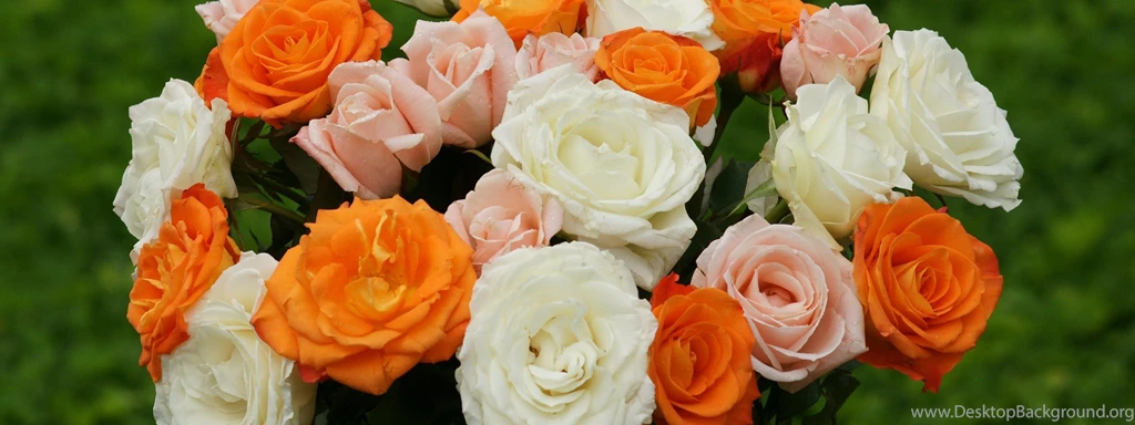 Pink white.orange roses dsc03423 dwp.jpg