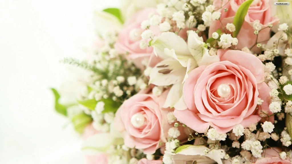 YouWall Wonderful Pink Roses Wallpapers Wallpaper,wallpapers ...