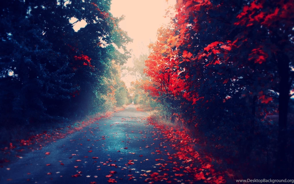 Full HD Fall Autumn Trees Leaves Nature Are Re Wallpapers