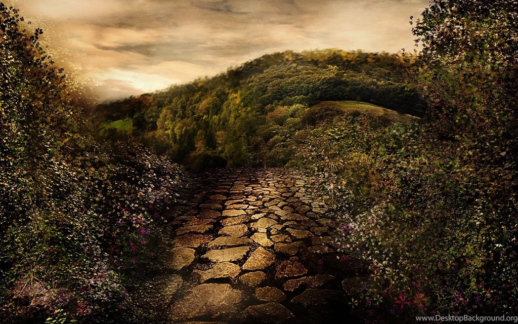 Tazmaa, Fantasy, Art, Mushroom, Moonlit, Night, Backgrounds ...