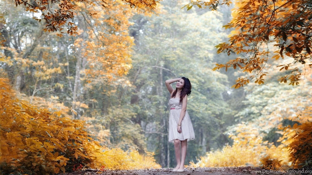 Forest Girl Wallpapers