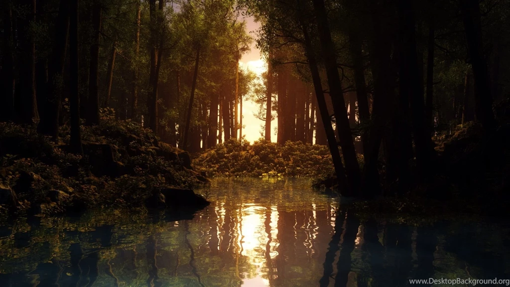 Nature Wallpapers Hd   1337424