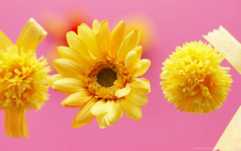Rose Flowers Wallpaper: Flowers Wallpapers Free