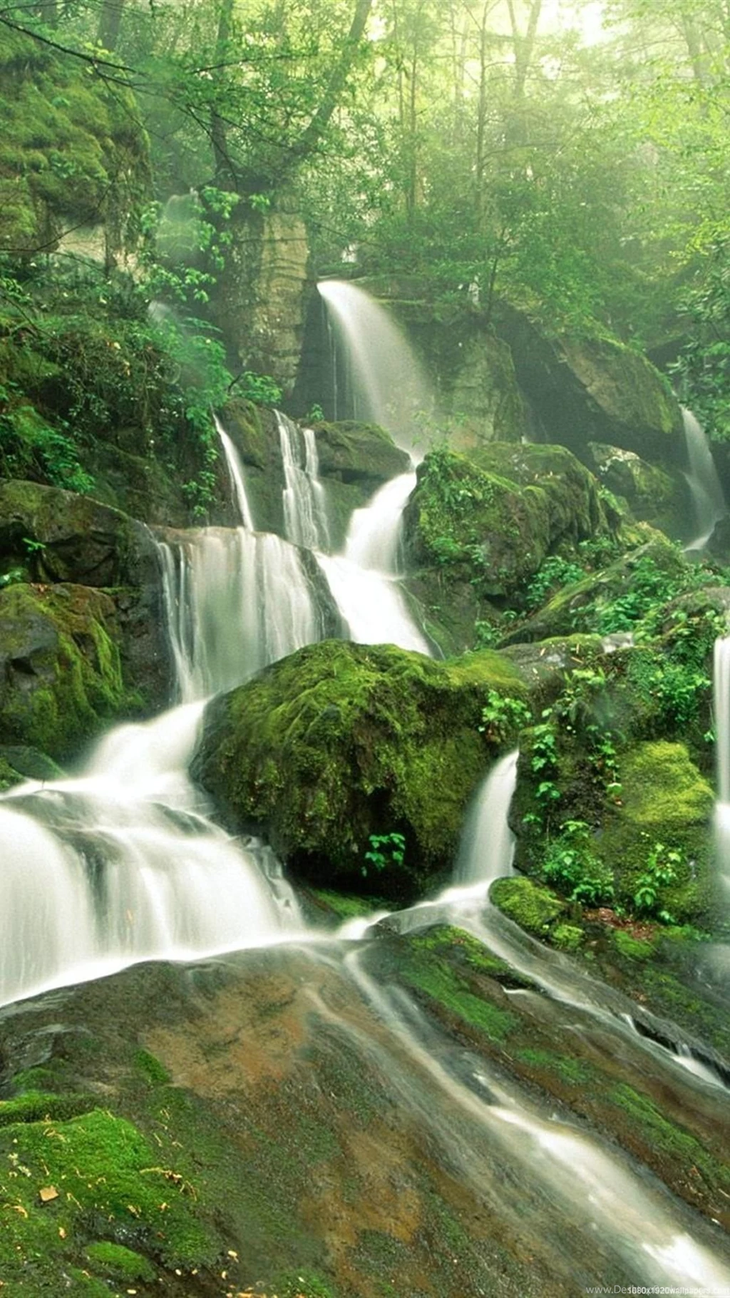 1080x1920 Beautiful Waterfall Cool Forest Wallpapers HD