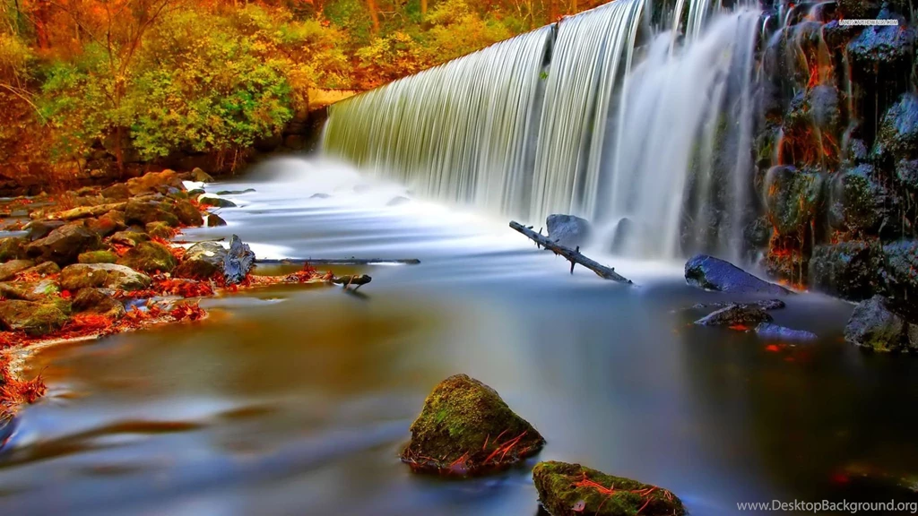 Wonderful Waterfall In The Forest Wallpapers