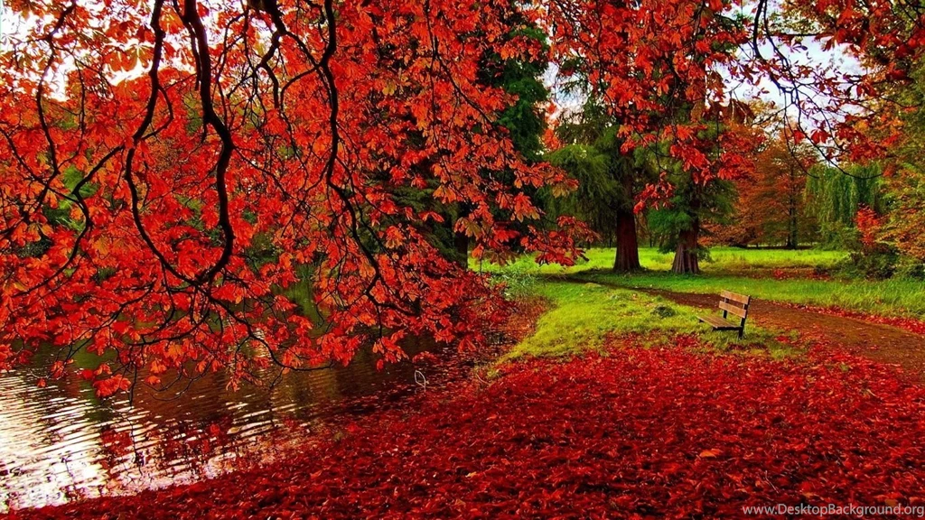 1366x768 Park Autumn Wallpapers