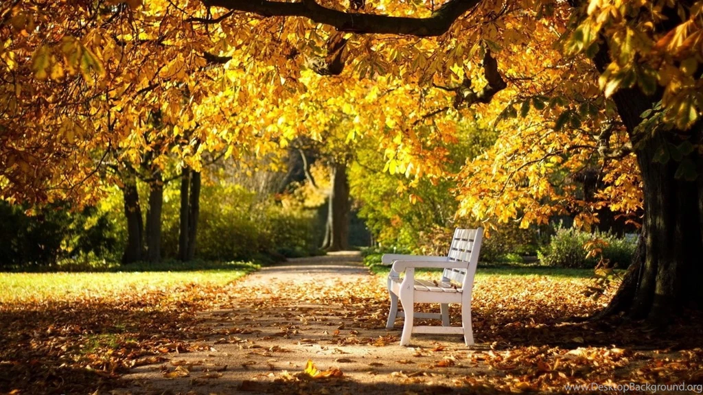 1366x768 Park Autumn Bench Wallpapers