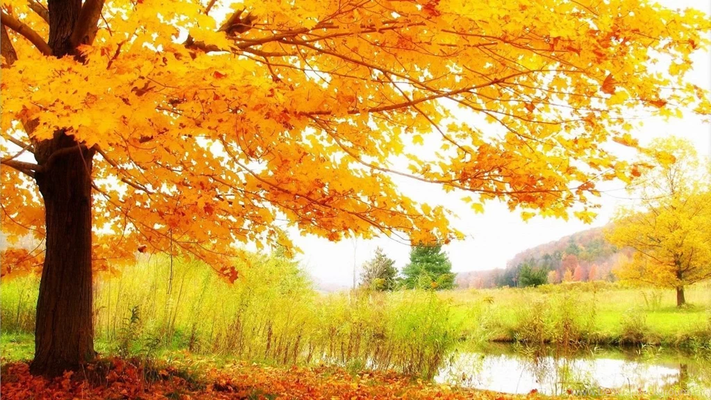 1366x768 Autumn Scenery Wallpapers