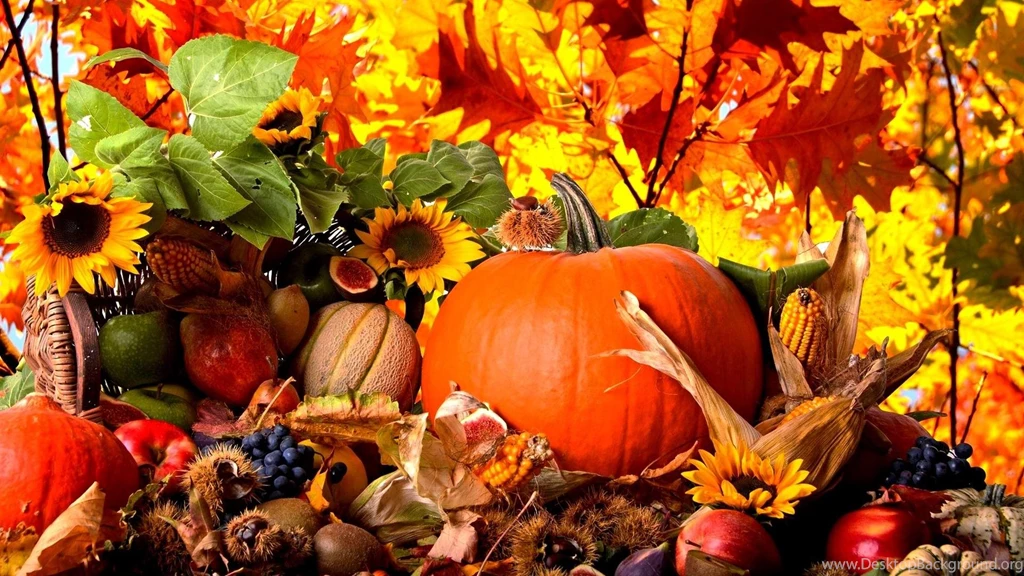 Autumn Harvest Wallpapers (