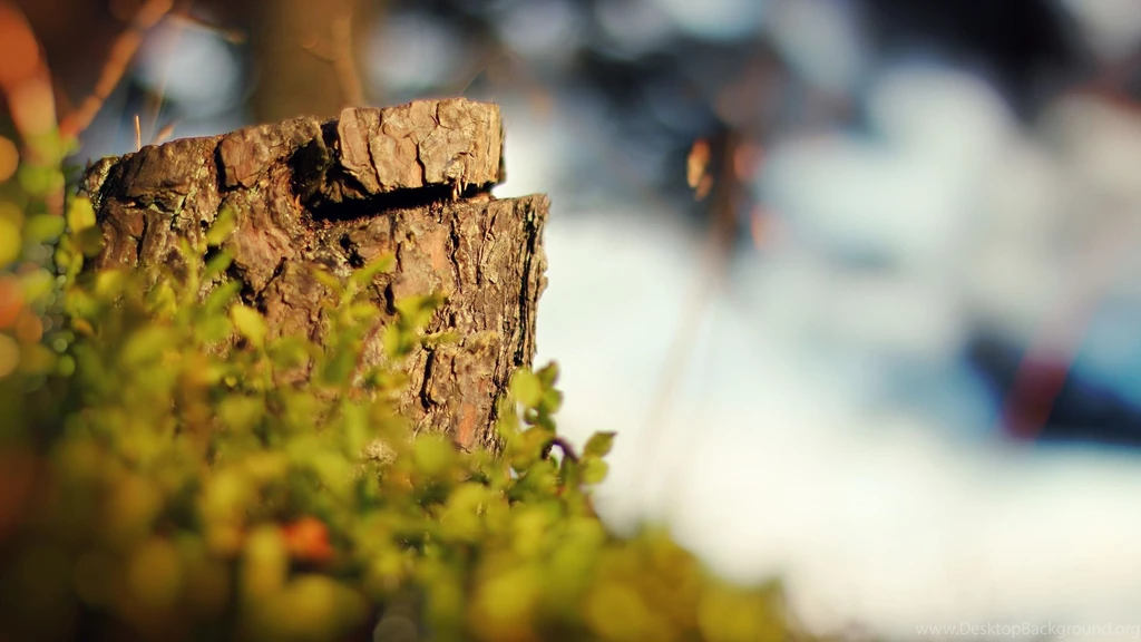 Nature Wallpapers 1080P Wallpapers HD Wide