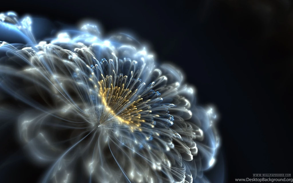 Amazing 3d Flower Wallpapers