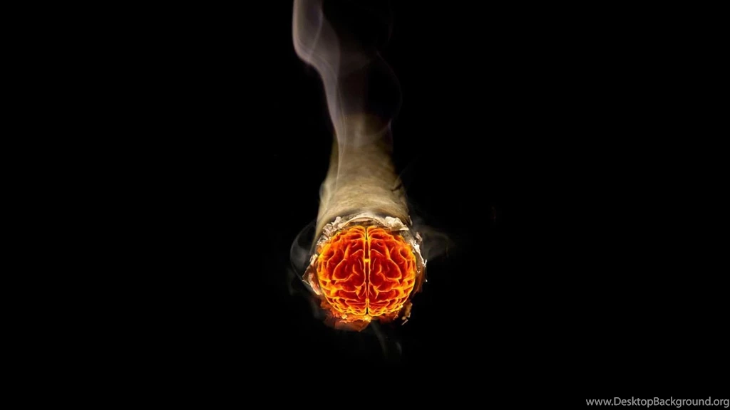 Smoke Brain Cigarettes Photomanipulations Fresh New Hd Wallpapers ...