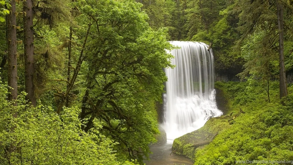 300 Full HD Best Nature Wallpapers 1920x1080p   Photo 127 Of 299 ...