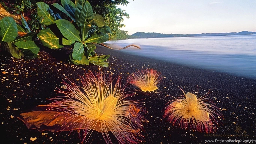 Lenovo Wallpapers 190260