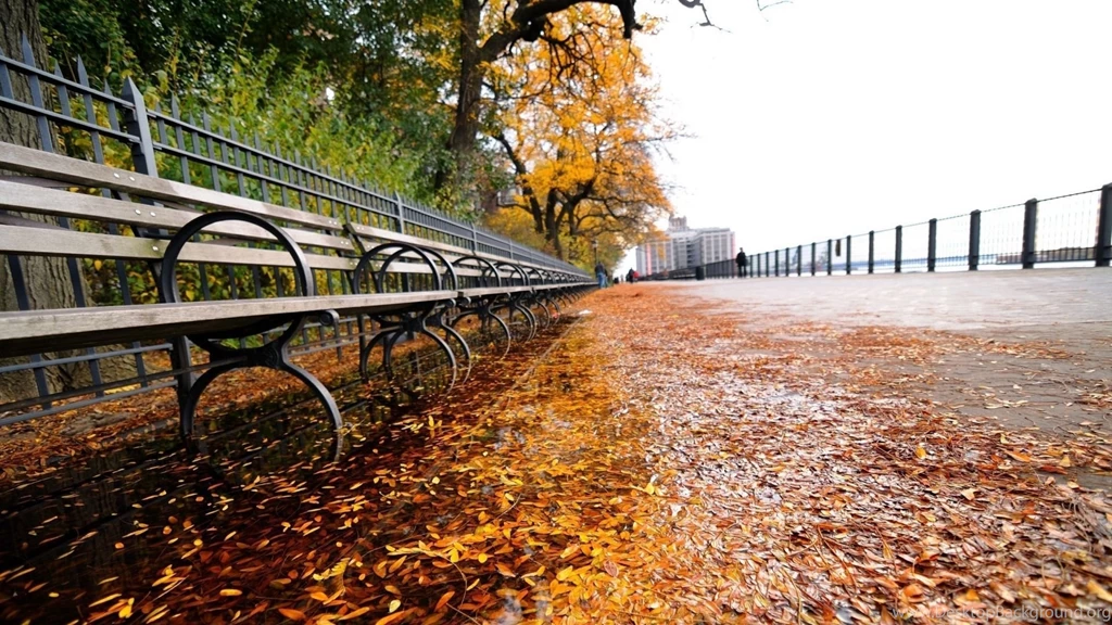 Download Wallpapers 1920x1080 City, park, Leaves, Fall, Bench ...