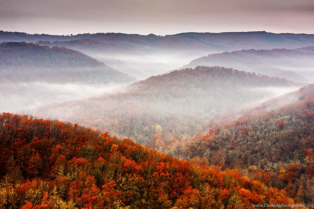 Nature Fall Mountains Tree Sky Foliage Autumn Forest 1080p >> HD ...