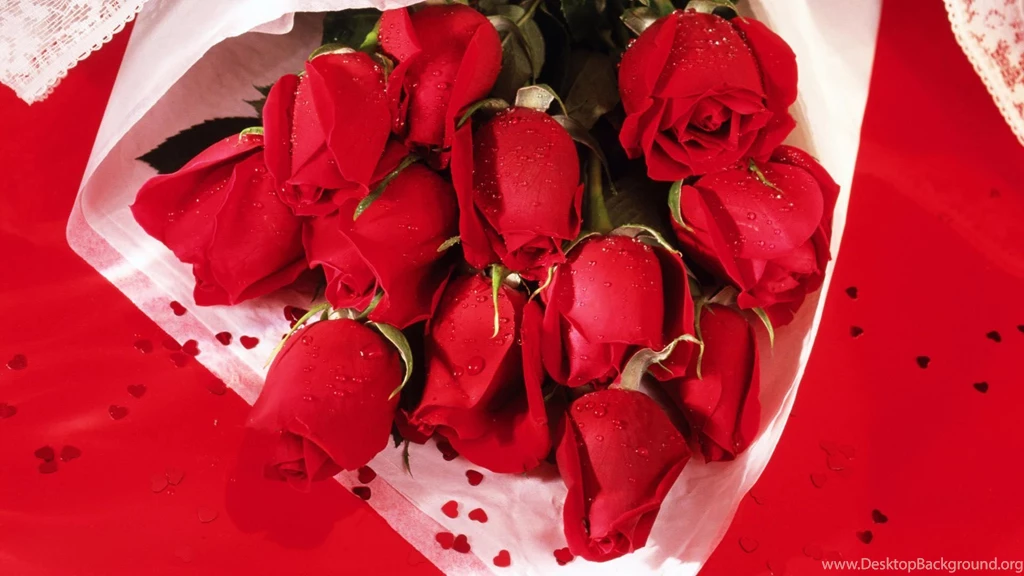 Flowers Wallpapers HD Wallpapers