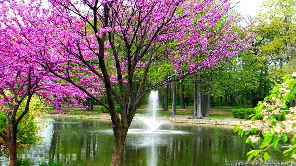 Top Spring Wallpapers Widescreen 1920x1080 Images For Pinterest