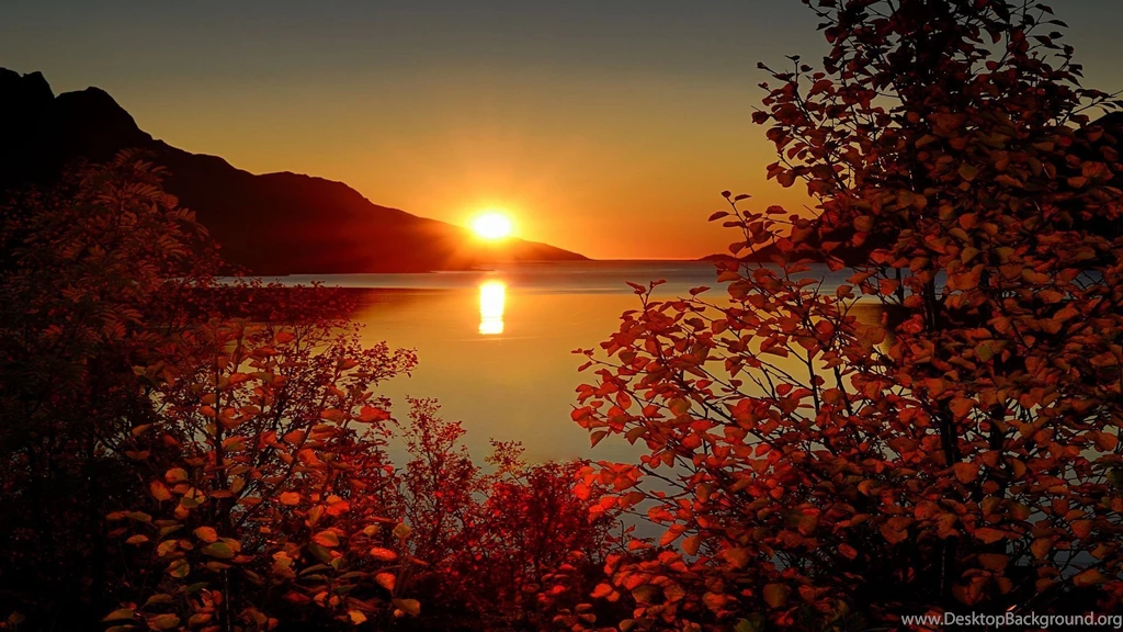 385 Sunrise HD Wallpapers