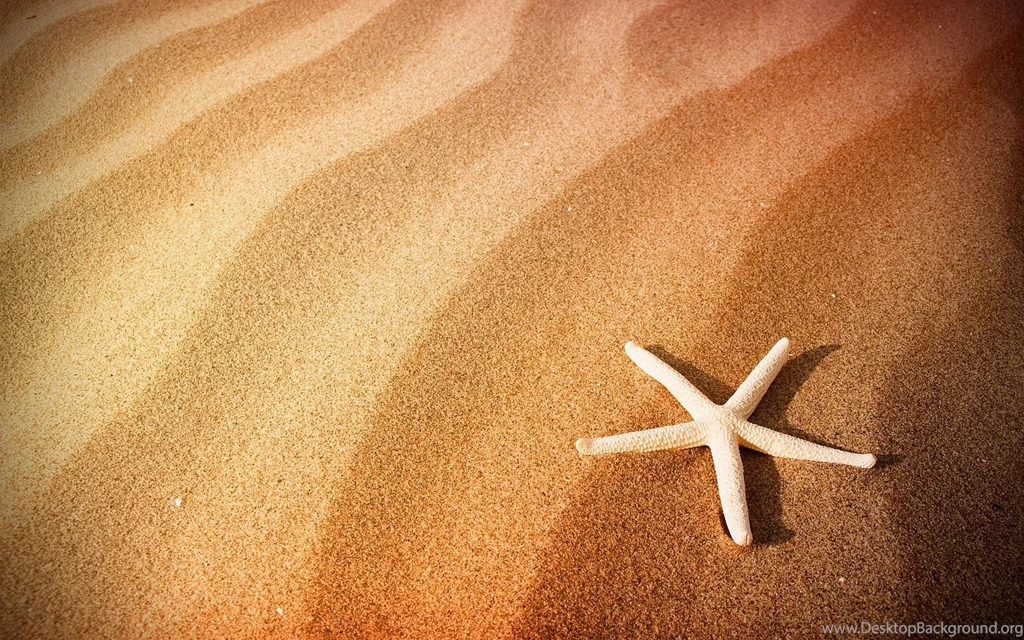 Starfish On Sand HD Wallpapers