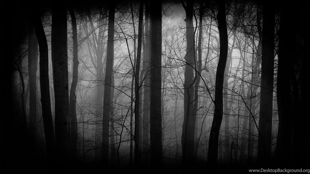 Top Dark Forest Wallpapers 4660 Images For Pinterest
