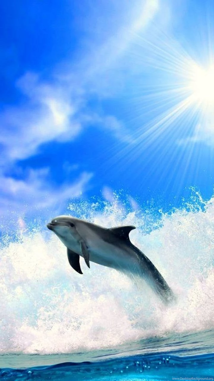 Galaxy S3 Wallpapers HD Beautiful, Stunning Wallpapers