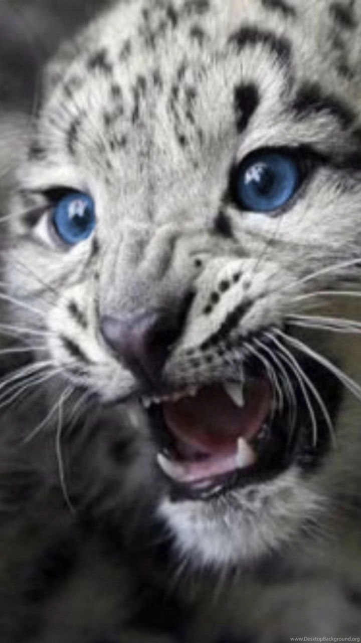 Galaxy S3 Wallpapers HD Beautiful, Stunning Wallpapers