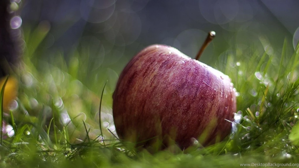 Hd Wallpapers For Laptop 1920X1080 1977743