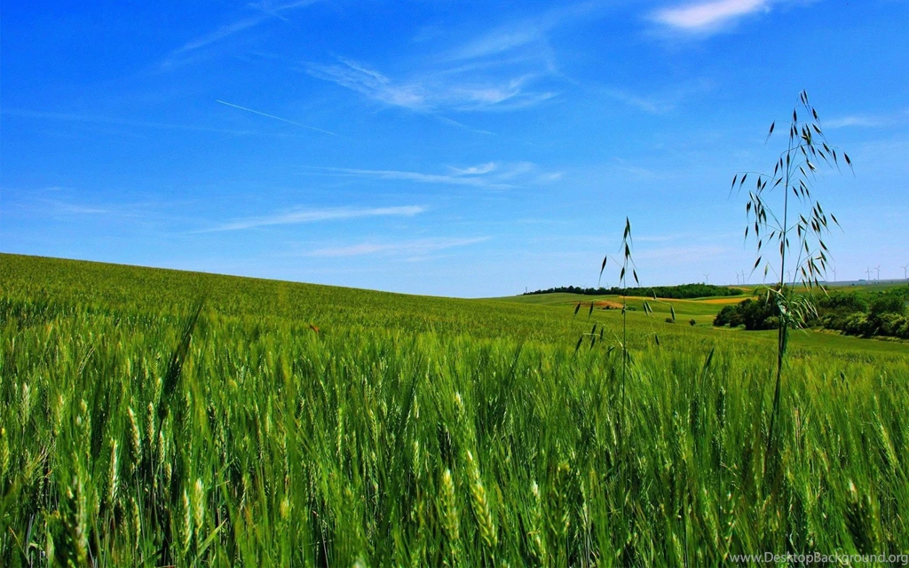 Best Windows Dekstop Wallpapers April 1920×1200