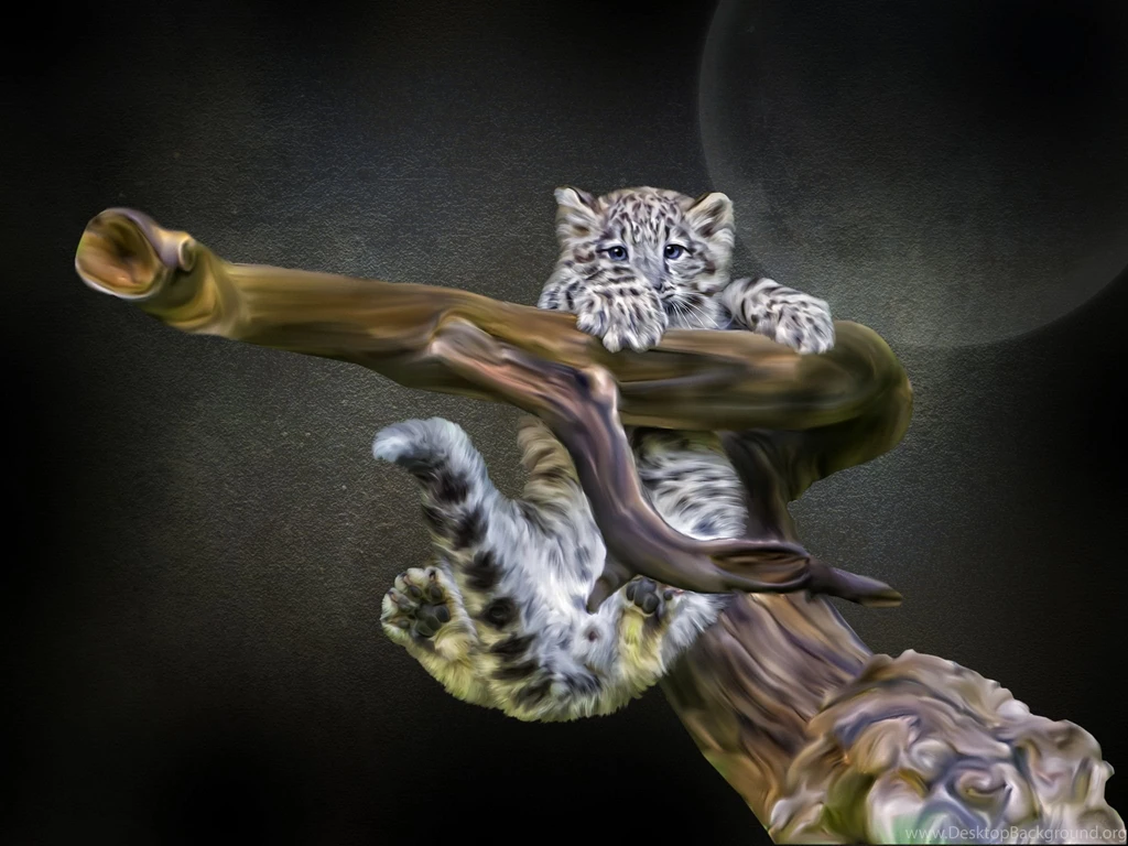 Snow Leopard Cub Snag Photoshop Wallpapers