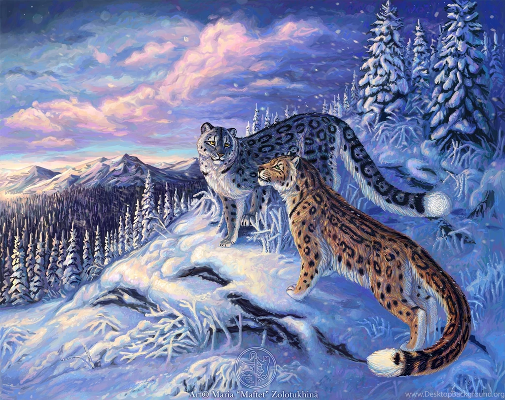 262 Snow Leopard HD Wallpapers