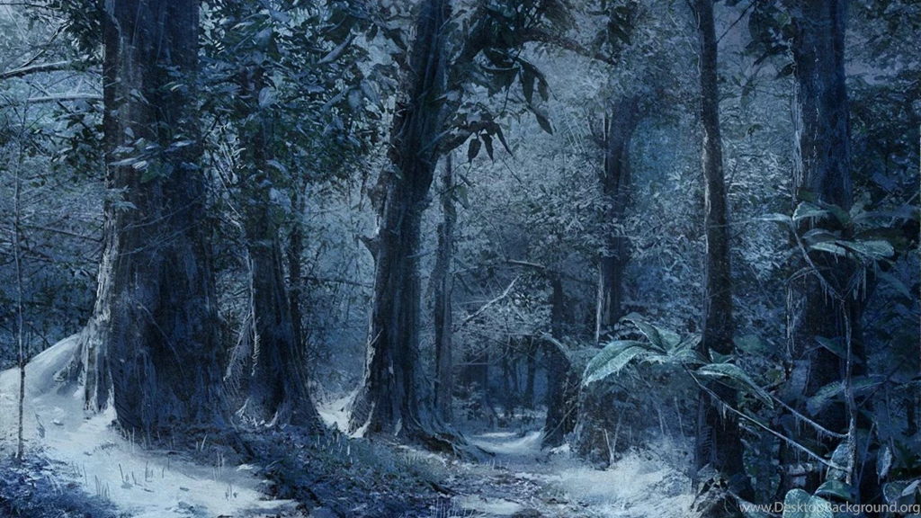 Winter Snow Trees Frozen Hd Wallpapers (