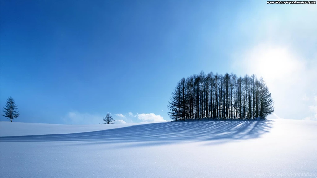 Wallpapers Late High Definition Snow Landscape 1920x1080